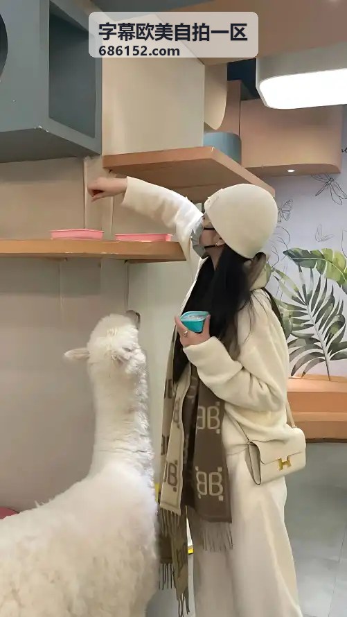高清字幕专区